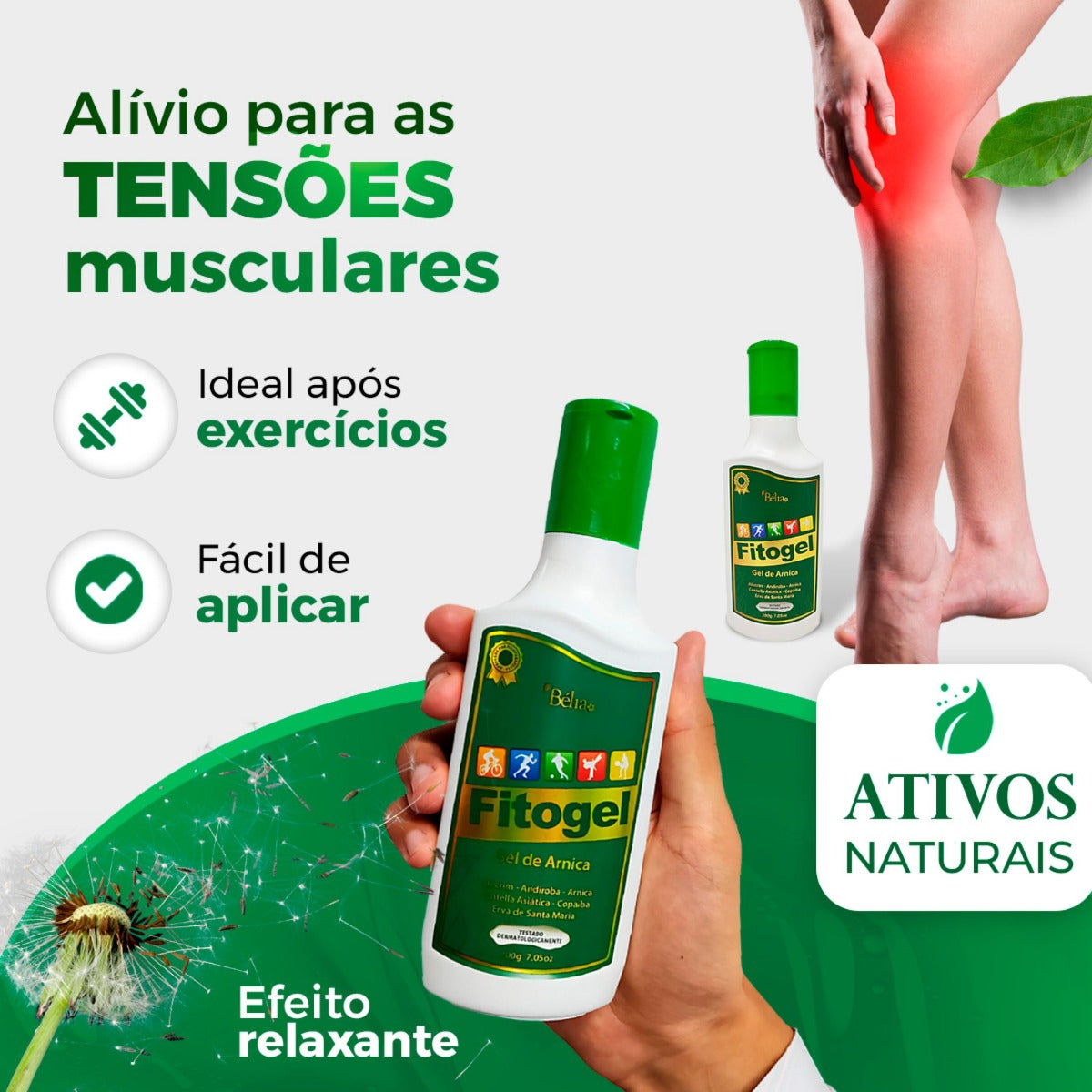 Fitogel Gel Creme de Arnica 200 g 21 Ervas para Massagem, Dores Musculares e Relaxamento muscular