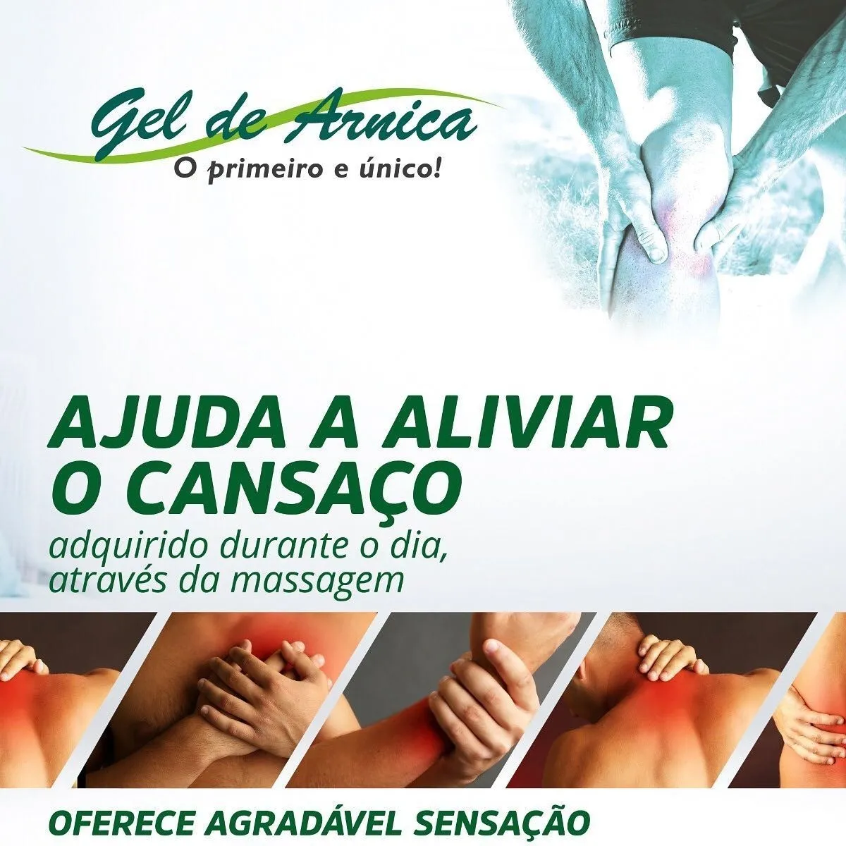 GEL DE ARNICA NATU LIFE 200 g